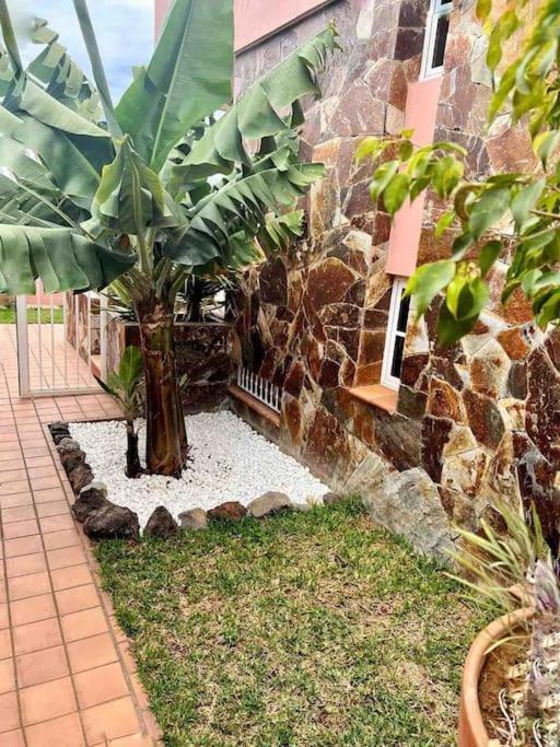 Lujosa Villa Con Piscina Privada Puerto de la Cruz (Tenerife) Exterior foto